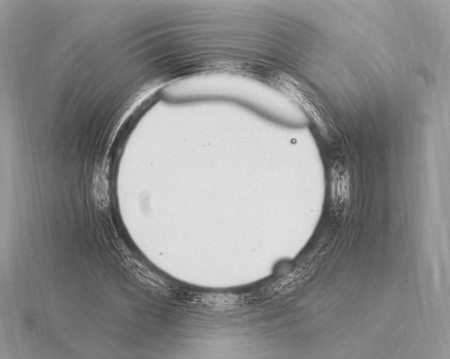 X0000115341068200912141235