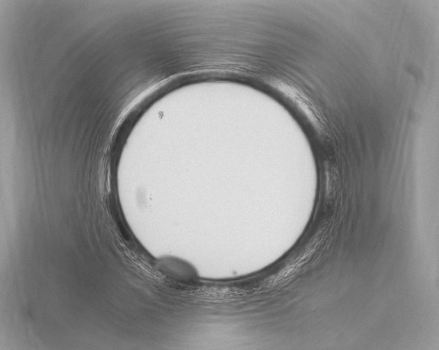 X0000115341069200912141235