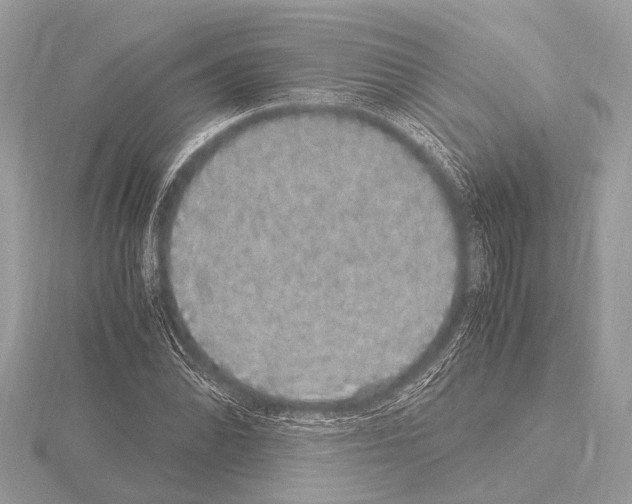 X0000115341070200912141235