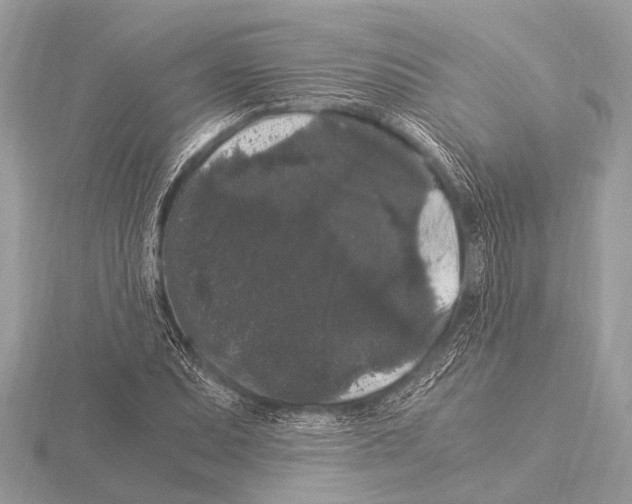 X0000115341071200912141235