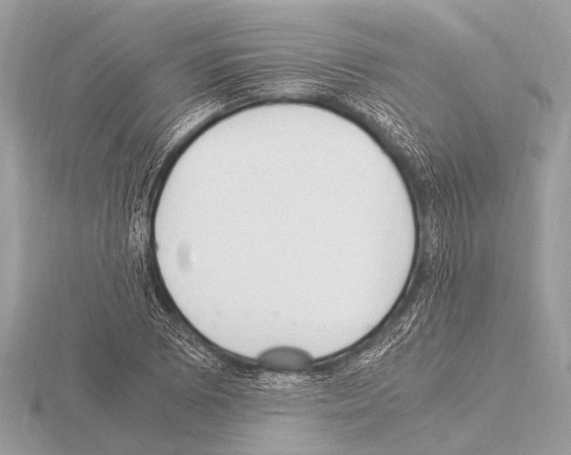 X0000115341073200912141235