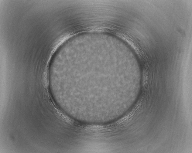 X0000115341075200912141234