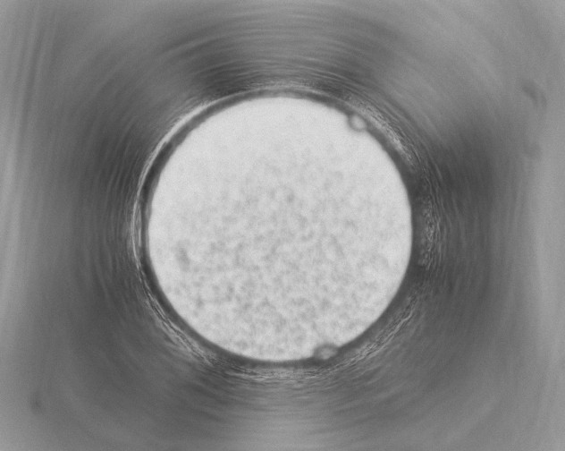 X0000115341076200912141234