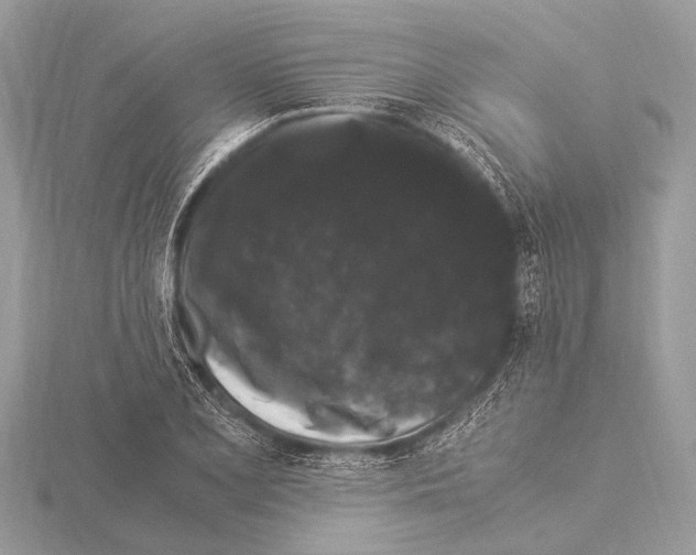 X0000115341077200912141234