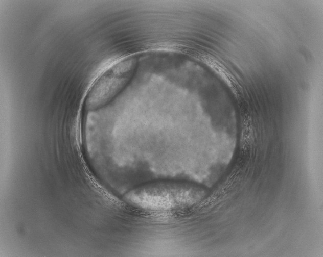 X0000115341080200912141234