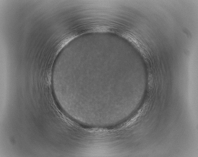 X0000115341081200912141234