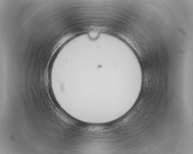 X0000115341082200912141234