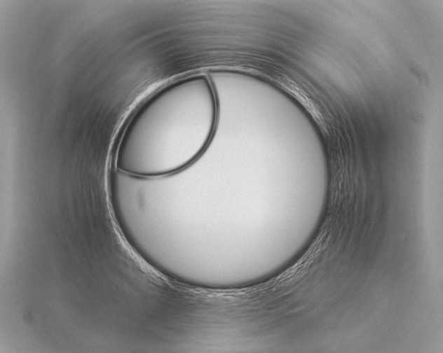 X0000115341084200912141234