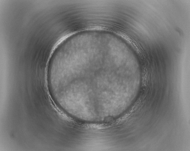 X0000115341086200912141234