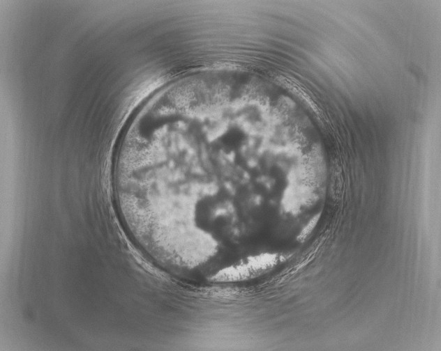 X0000115341087200912141234