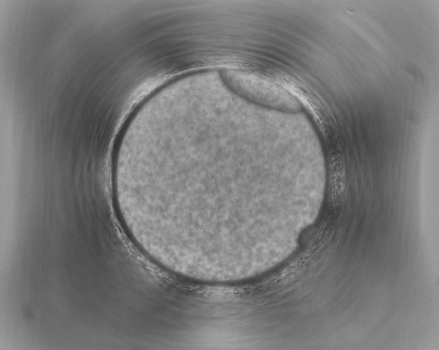 X0000115341088200912141234