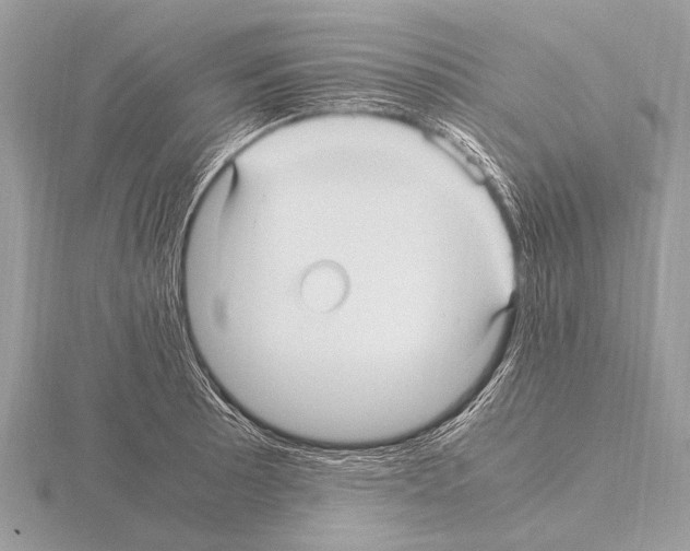 X0000115341089200912141234