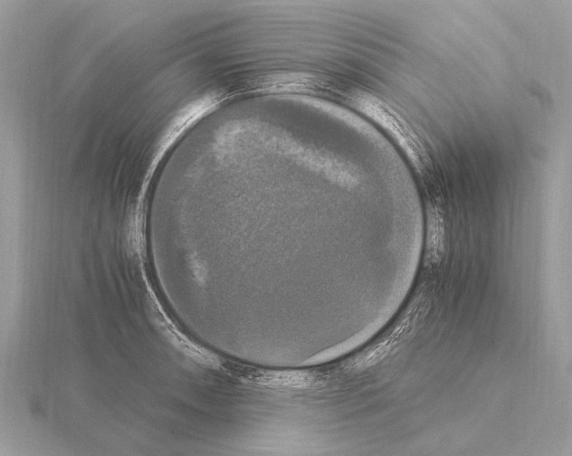 X0000115341090200912141234