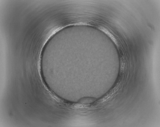 X0000115341093200912141234