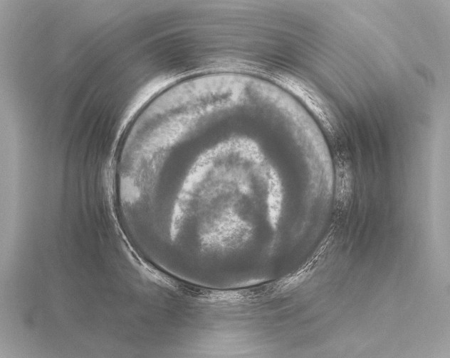 X0000115341094200912141234