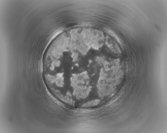 X0000115341095200912141234