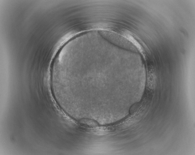 X0000115341096200912141234