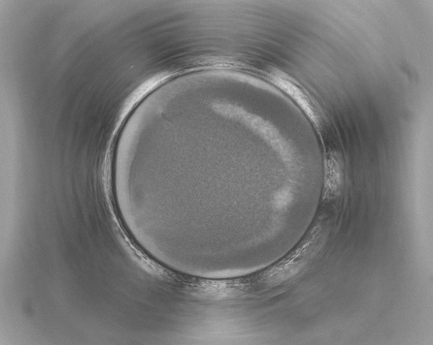 X0000115341098200912141234