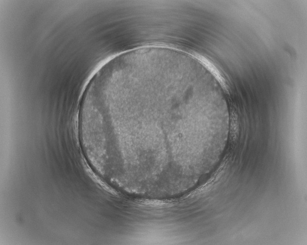 X0000115341100200912141234