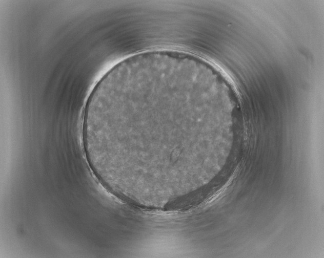 X0000115341102200912141234