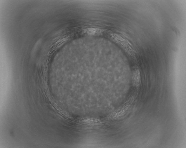 X0000115341105200912141233