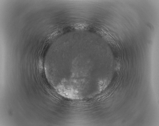 X0000115341106200912141234