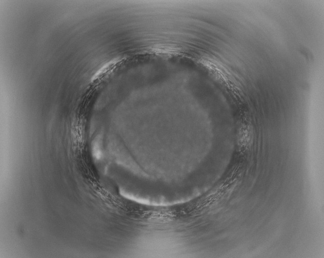 X0000115341110200912141234