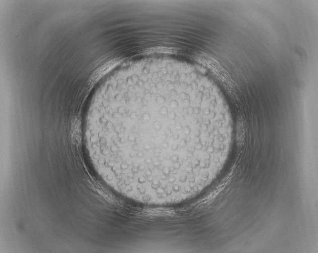 X0000115341113200912141234