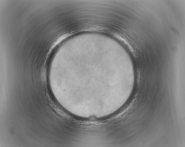 X0000115341114200912141234