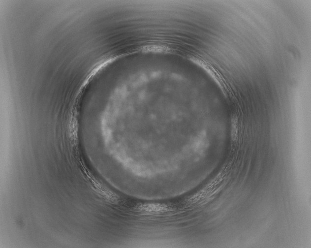 X0000115341115200912141234