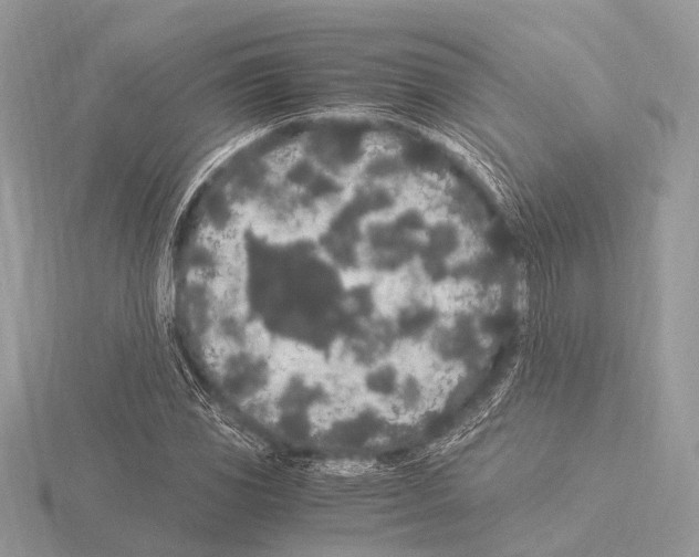 X0000115341117200912141234