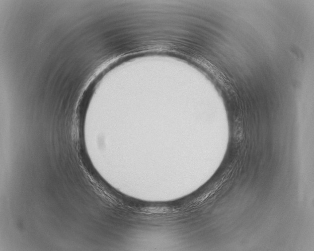 X0000115341118200912141234