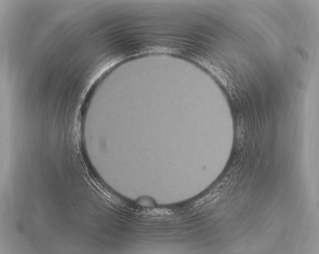 X0000115341119200912141234