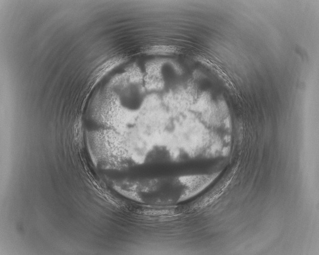 X0000115341121200912141234