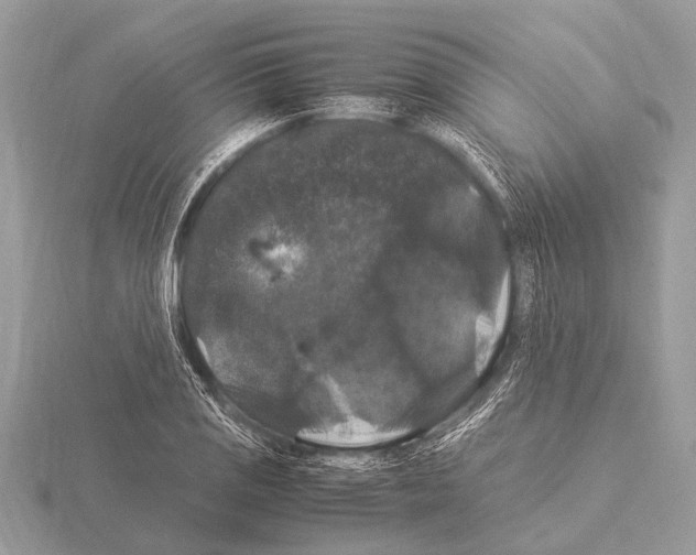 X0000115341125200912141234