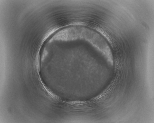 X0000115341127200912141234