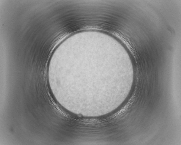 X0000115341129200912141234