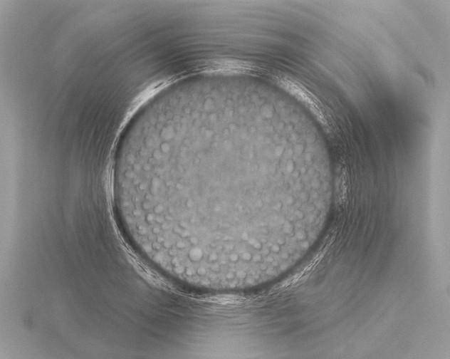 X0000115341130200912141234