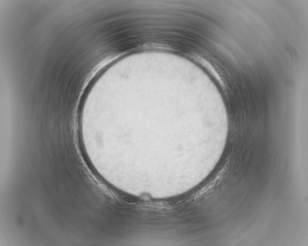 X0000115341133200912141234