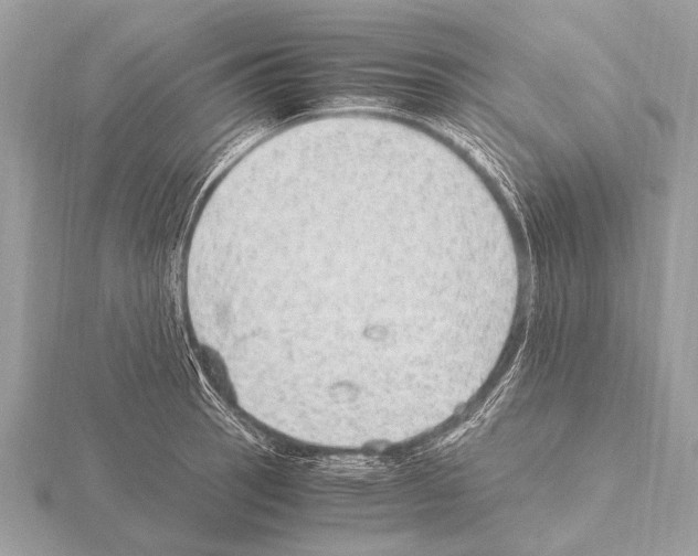 X0000115341137200912141234