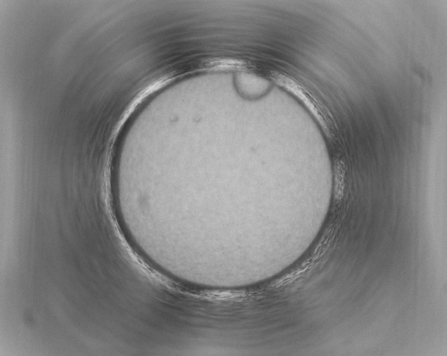 X0000115341139200912141234