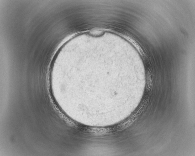 X0000115341142200912141234