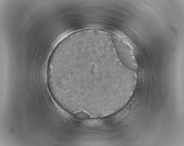 X0000115341143200912141234