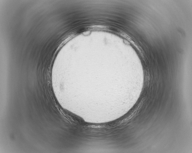 X0000115341145200912141234