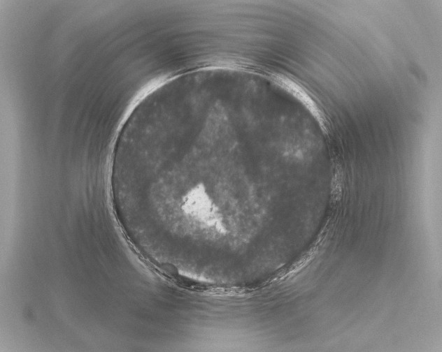 X0000115341146200912141234