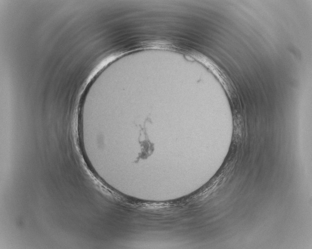 X0000115341147200912141234