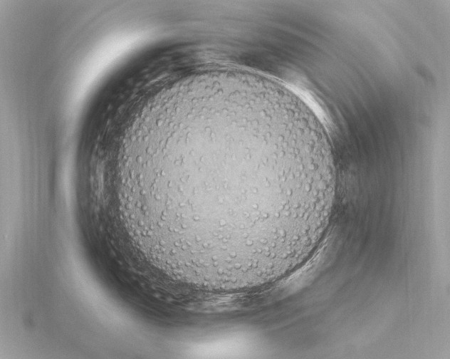 X0000115341150200912141234