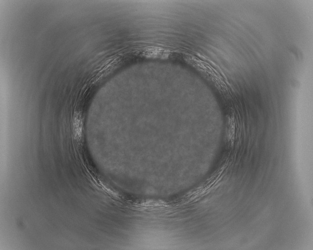 X0000115341154200912141233