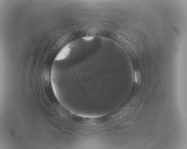 X0000115341155200912141233