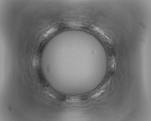 X0000115341157200912141233